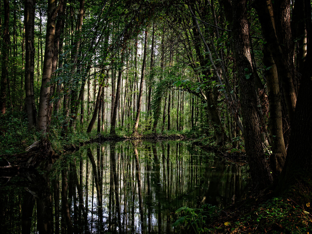 P9247352-Bearbeitet.jpg