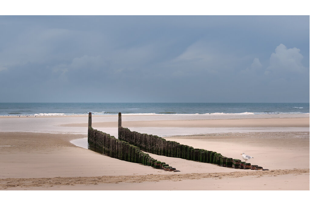Nordseeküste bei Domburg