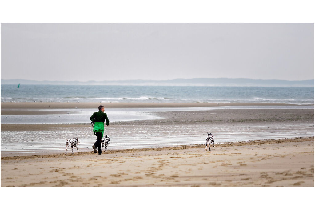 Nordseeküste bei Domburg