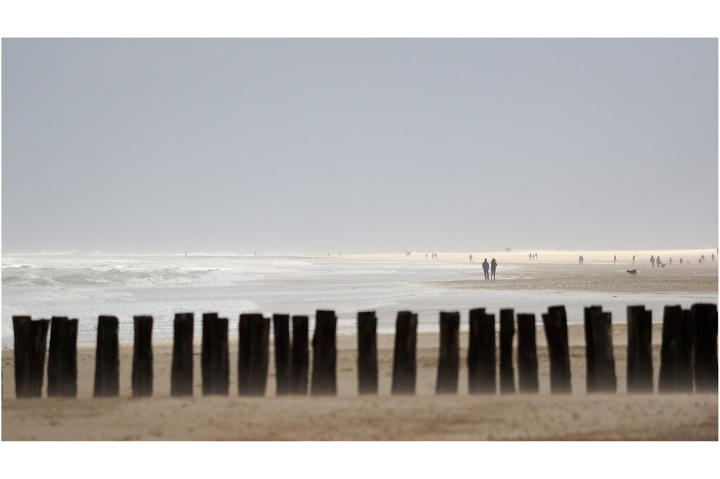 Nordseeküste bei Domburg