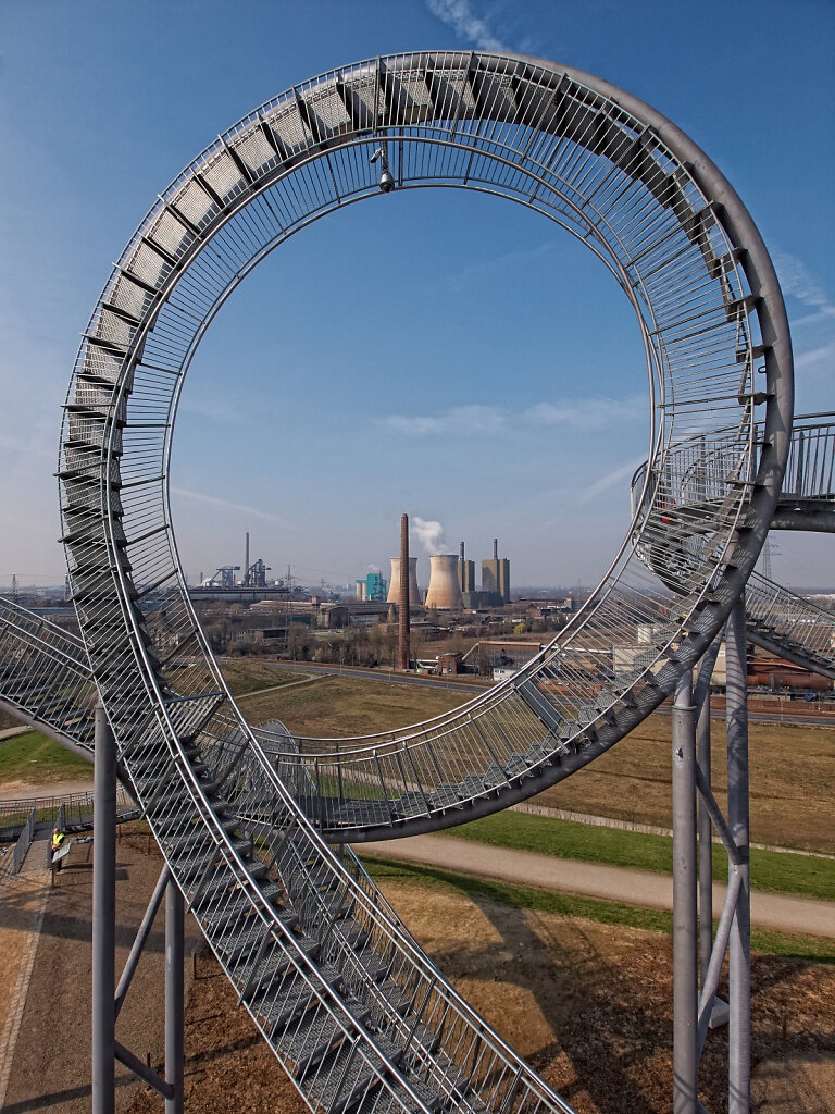 Tiger and  Turtle