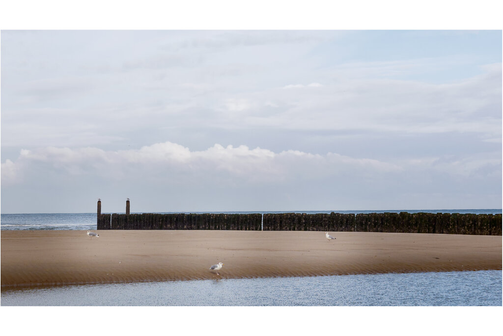 Nordseeküste bei Domburg
