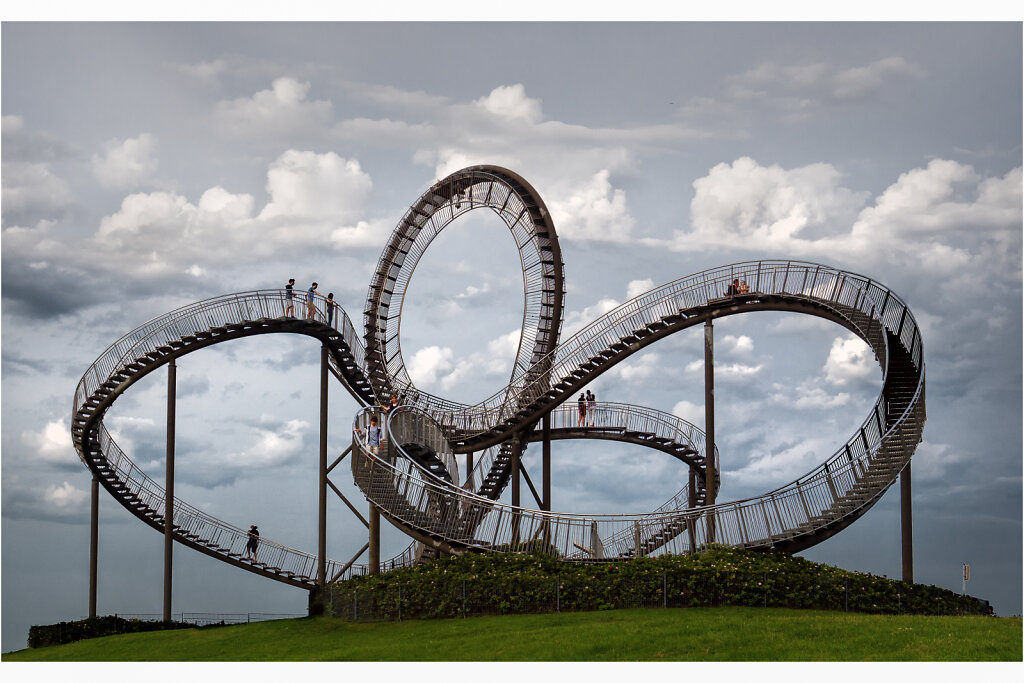 Tiger and  Turtle