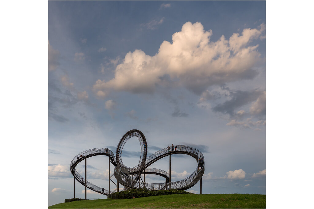 Tiger and  Turtle