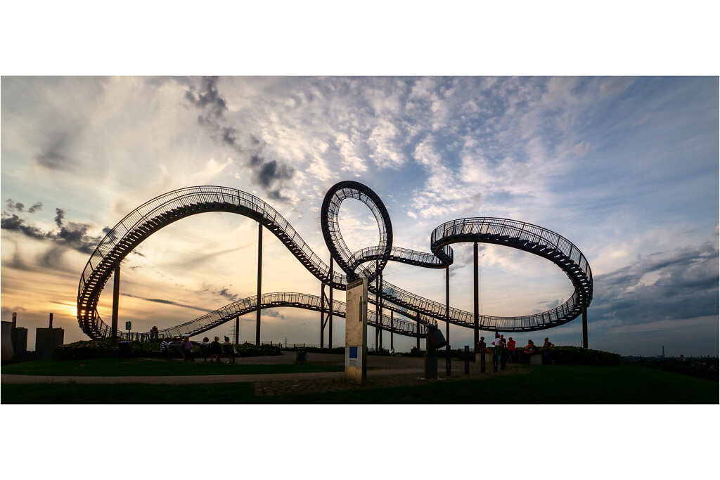 Tiger and  Turtle
