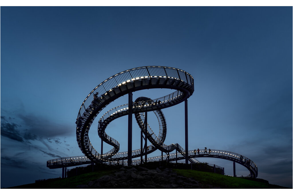 Tiger and  Turtle