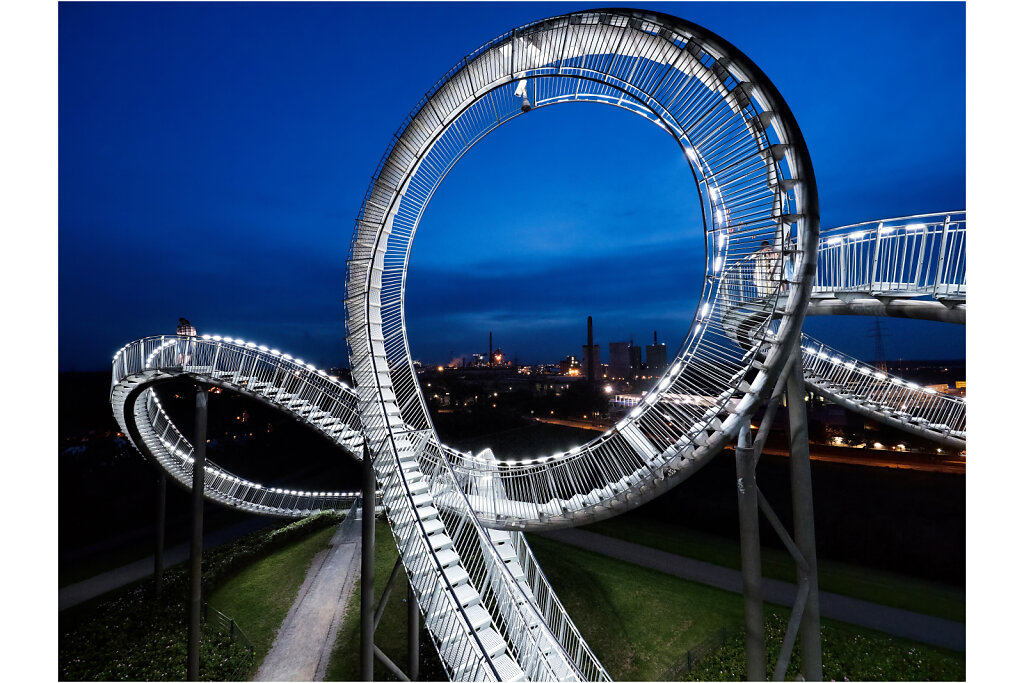 Tiger and  Turtle
