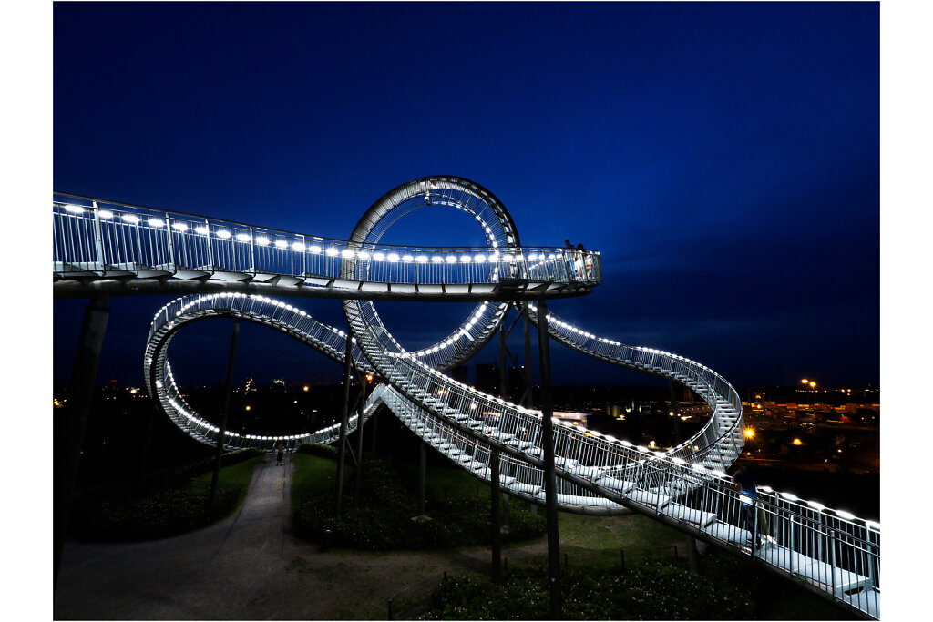 Tiger and  Turtle